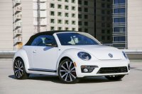 BEETLE (43)